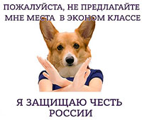 Депутат Госдумы направил Медведеву запрос о самолёте для собак Шувалова