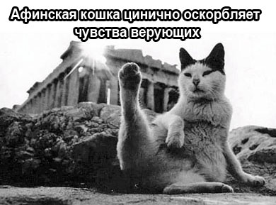 Афинская кошка цинично оскорбляет чувства верующих