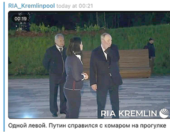 Одной левой. Путин справился с комаром на прогулке